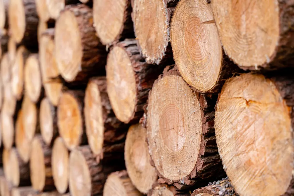 A close up of logs stacked on top of each other